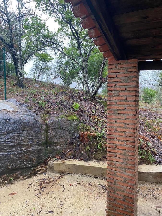 Viviendas Rurales Del Robledo Castano de Robledo エクステリア 写真