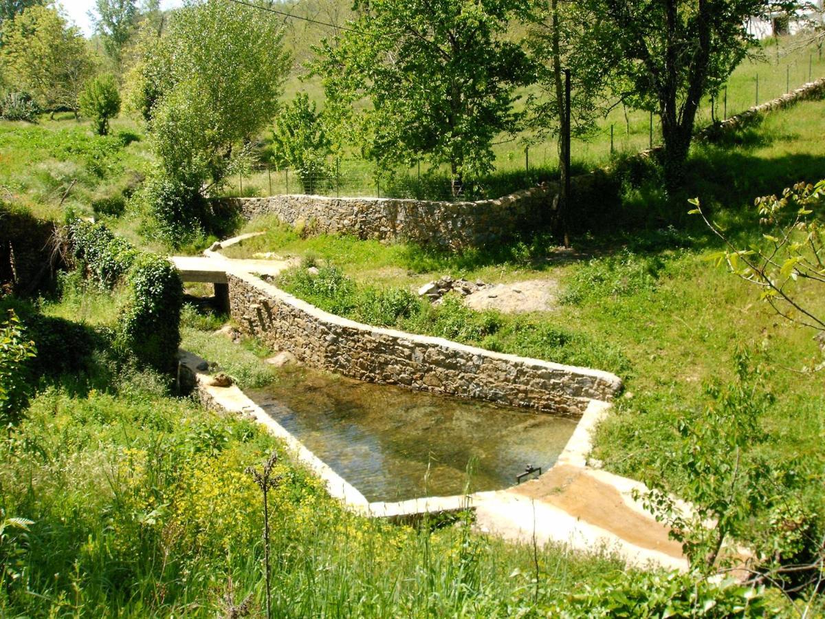 Viviendas Rurales Del Robledo Castano de Robledo エクステリア 写真