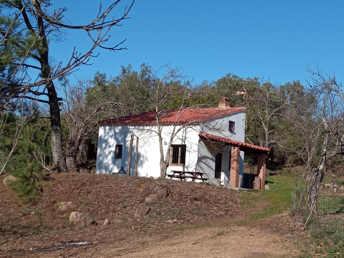 Viviendas Rurales Del Robledo Castano de Robledo エクステリア 写真