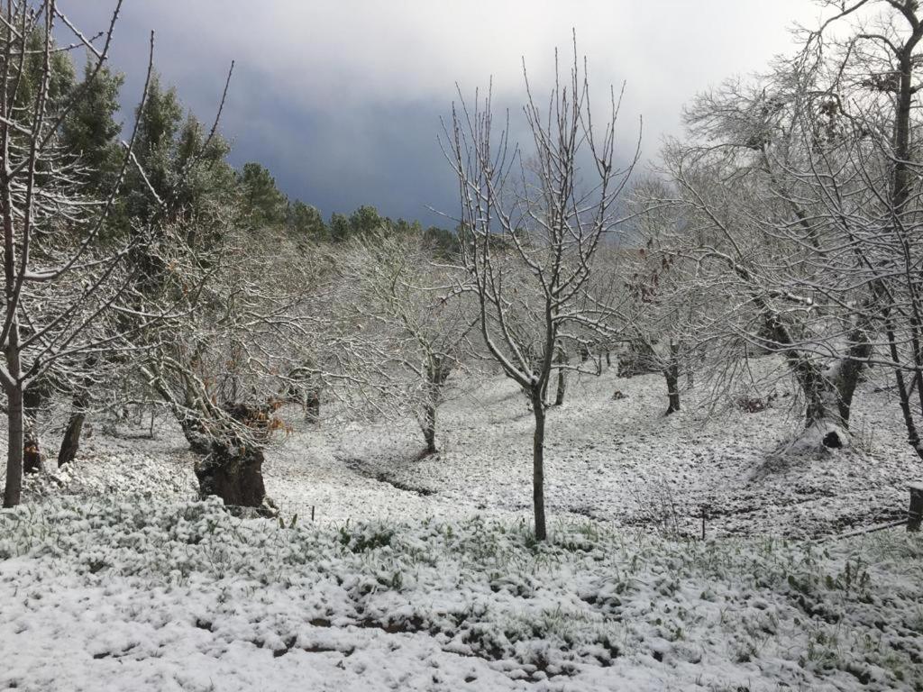 Viviendas Rurales Del Robledo Castano de Robledo エクステリア 写真